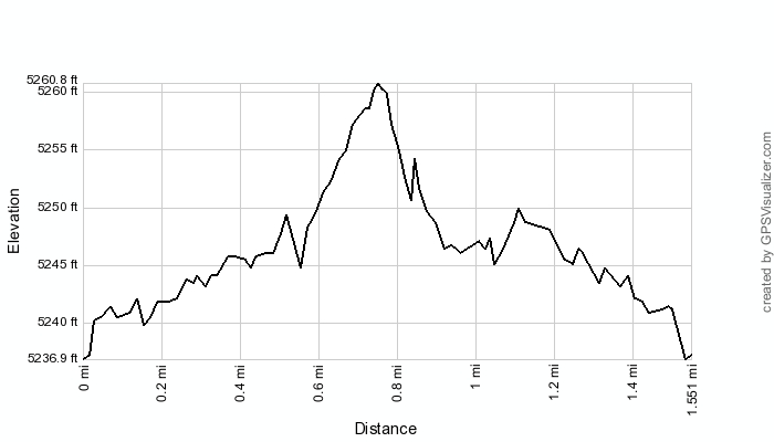 Summit Elevation Profile
